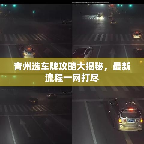 青州选车牌攻略大揭秘，最新流程一网打尽
