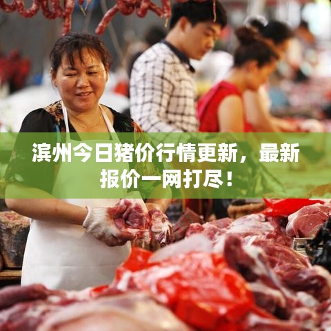 滨州今日猪价行情更新，最新报价一网打尽！
