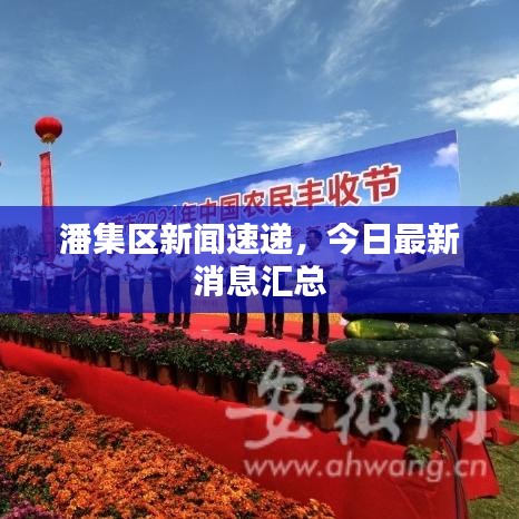 潘集区新闻速递,今日最新消息汇总