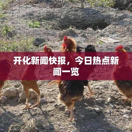 开化新闻快报,今日热点新闻一览