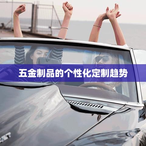 五金制品个性化定制趋势分析