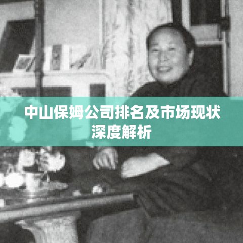 中山保姆公司排名及市场现状深度解析