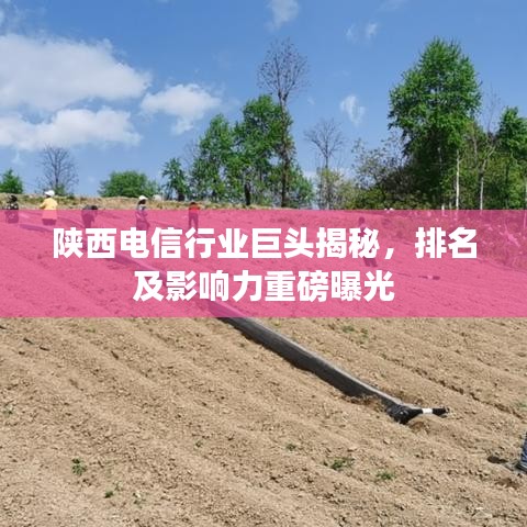 陕西电信行业巨头揭秘,排名及影响力重磅曝光