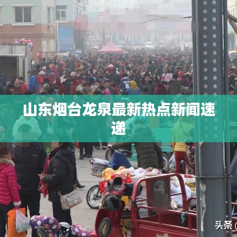 山东烟台龙泉最新热点新闻速递