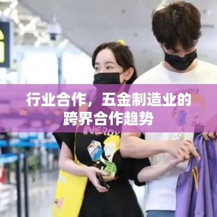 五金制造业跨界合作趋势,行业合作与创新发展