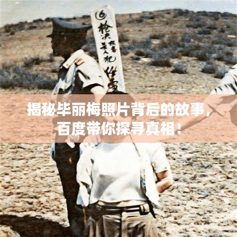 公司简介 第72页