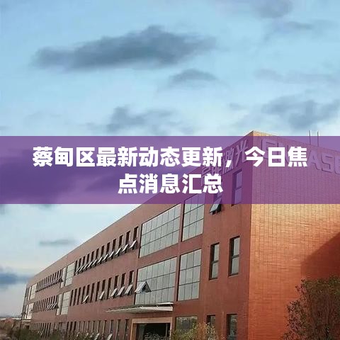 蔡甸区最新动态更新,今日焦点消息汇总