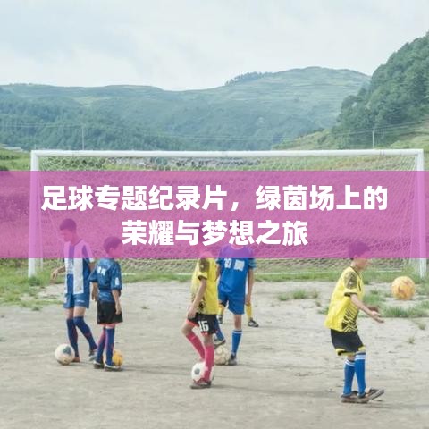 足球专题纪录片，绿茵场上的荣耀与梦想之旅