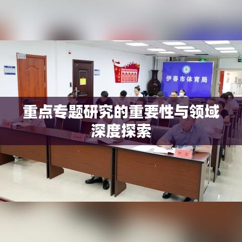 重点专题研究的重要性与领域深度探索