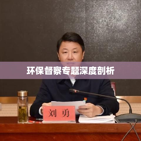 环保督察专题深度剖析