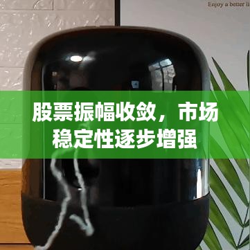 股票振幅收敛，市场稳定性逐步增强