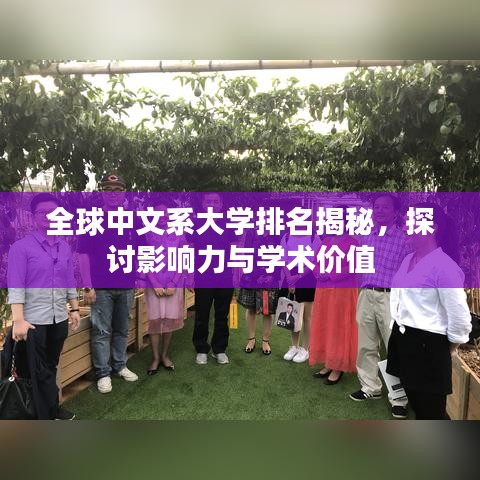 全球中文系大学排名揭秘，探讨影响力与学术价值