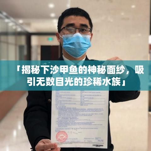 「揭秘下沙甲鱼的神秘面纱，吸引无数目光的珍稀水族」