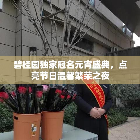 碧桂园独家冠名元宵盛典，点亮节日温馨繁荣之夜