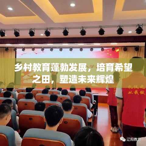 乡村教育蓬勃发展，培育希望之田，塑造未来辉煌