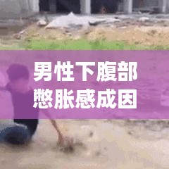 男性下腹部憋胀感成因及应对方法解析