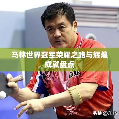 马林世界冠军荣耀之路与辉煌成就盘点