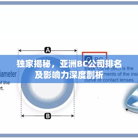 独家揭秘,亚洲BC公司排名及影响力深度剖析