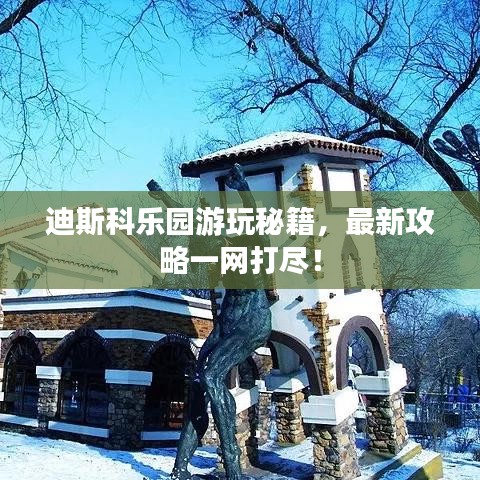 迪斯科乐园游玩秘籍,最新攻略一网打尽!