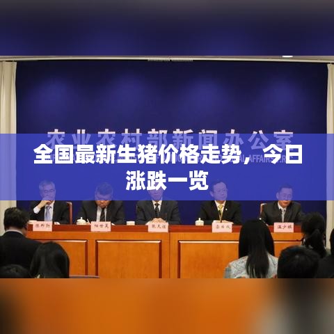 全国最新生猪价格走势，今日涨跌一览