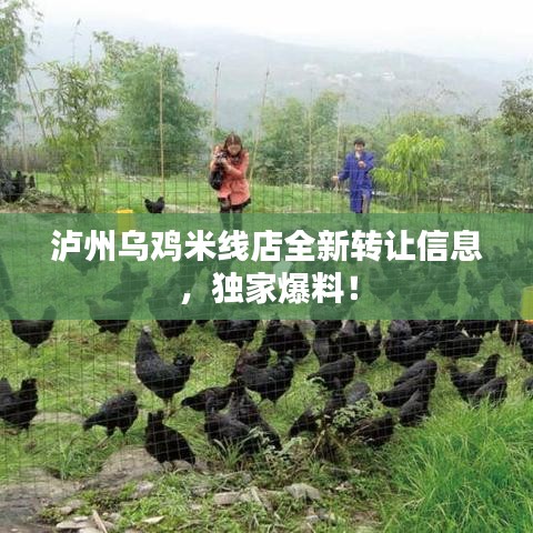 泸州乌鸡米线店全新转让信息,独家爆料!