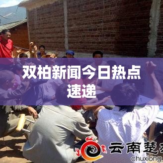 双柏新闻今日热点速递