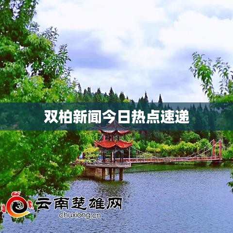 双柏新闻今日热点速递