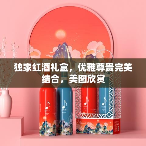 独家红酒礼盒,优雅尊贵完美结合,美图欣赏
