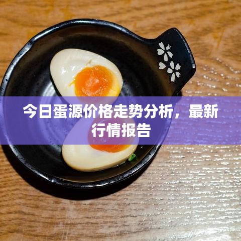 今日蛋源价格走势分析,最新行情报告