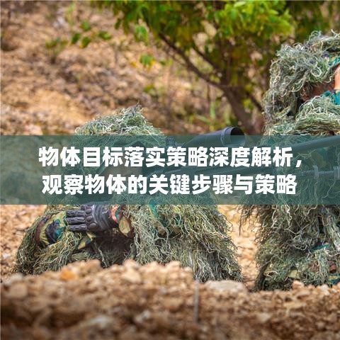 物体目标落实策略深度解析,观察物体的关键步骤与策略