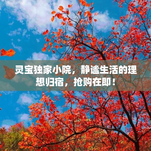 灵宝独家小院，静谧生活的理想归宿，抢购在即！