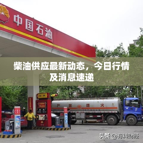 柴油供应最新动态，今日行情及消息速递