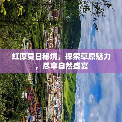 红原夏日秘境，探索草原魅力，尽享自然盛宴