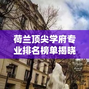 荷兰顶尖学府专业排名榜单揭晓,前十名专业全解析!
