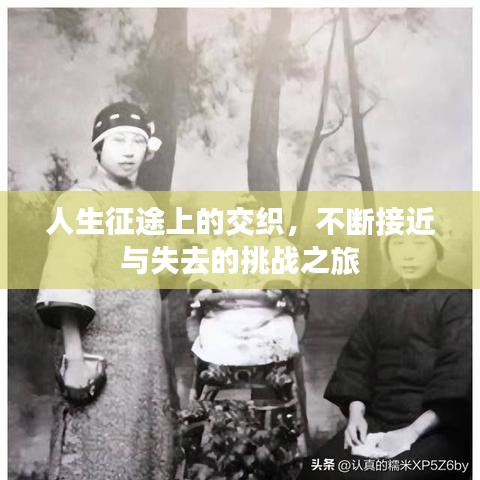 人生征途上的交织,不断接近与失去的挑战之旅
