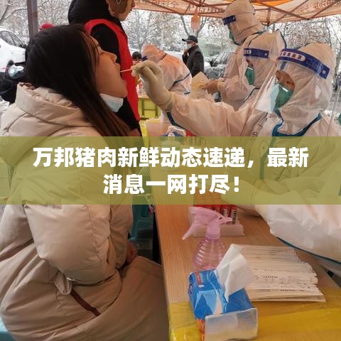 万邦猪肉新鲜动态速递,最新消息一网打尽!