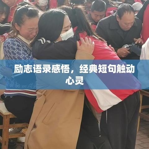 励志语录感悟,经典短句触动心灵