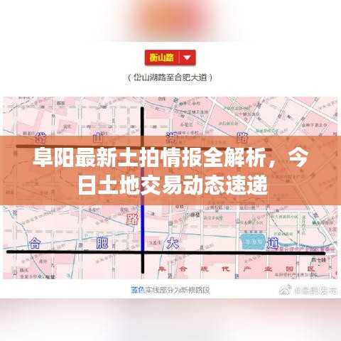 阜阳最新土拍情报全解析,今日土地交易动态速递