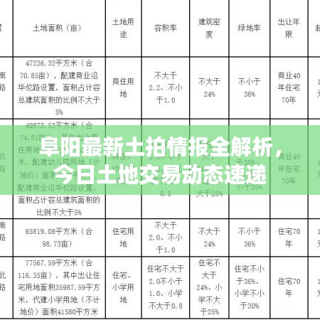 阜阳最新土拍情报全解析,今日土地交易动态速递