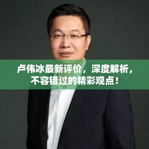 卢伟冰最新评价，深度解析，不容错过的精彩观点！