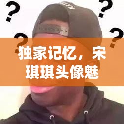 独家记忆,宋琪琪头像魅力揭秘