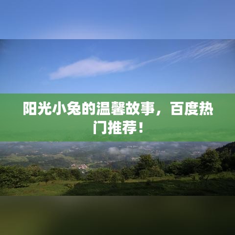 阳光小兔的温馨故事，百度热门推荐！