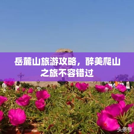 岳麓山旅游攻略，醉美爬山之旅不容错过