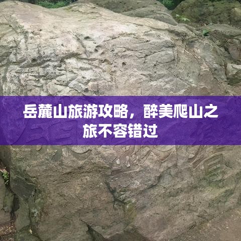岳麓山旅游攻略,醉美爬山之旅不容错过