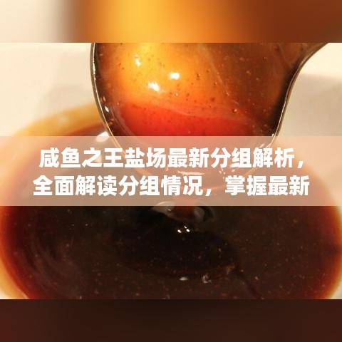 咸鱼之王盐场最新分组解析,全面解读分组情况,掌握最新动态!