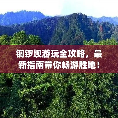 铜锣坝游玩全攻略，最新指南带你畅游胜地！