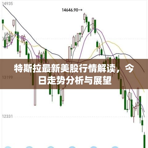 特斯拉最新美股行情解读,今日走势分析与展望