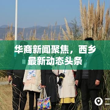 华商新闻聚焦,西乡最新动态头条