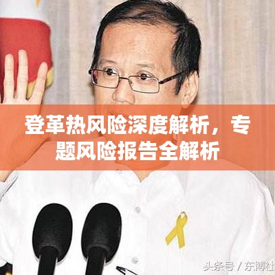 登革热风险深度解析,专题风险报告全解析