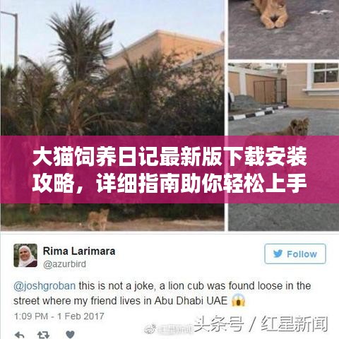 大猫饲养日记最新版下载安装攻略，详细指南助你轻松上手！
